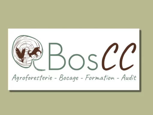 BosCC